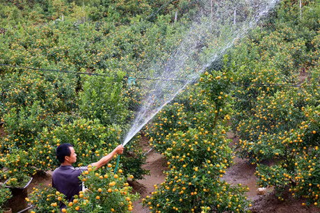 Quat mat mua, dao cho… thoi tiet - Anh 2