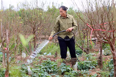 Quat mat mua, dao cho… thoi tiet - Anh 7