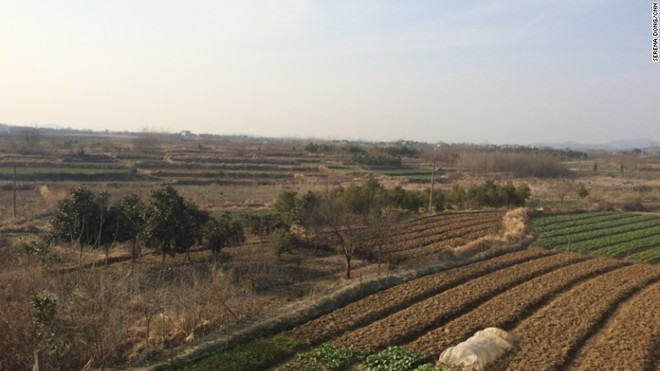 Những thửa ruộng hoang ở làng Chao Hu, tỉnh An Huy, Trung Quốc. Ảnh: CNN s
