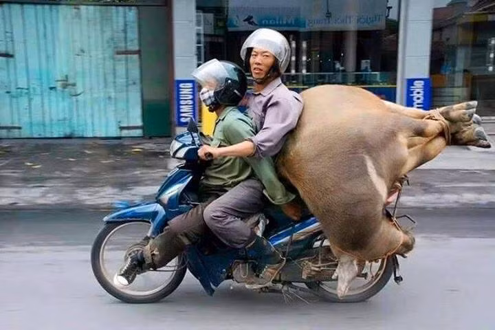 chở hàng, giao thông, an toàn giao thông, Việt Nam, xe máy, văn hóa giao thông