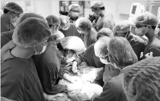  “Nghệ thuật dao kéo” được gieo từ thành công của ca ghép mặt hi hữu - Ảnh 1