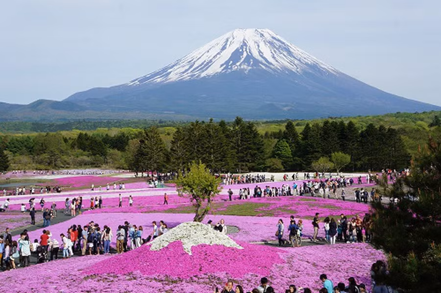 Ngành GD TP.HCM tạm ngưng xét duyệt hồ sơ đi nước ngoài để phòng dịch CoVid-19