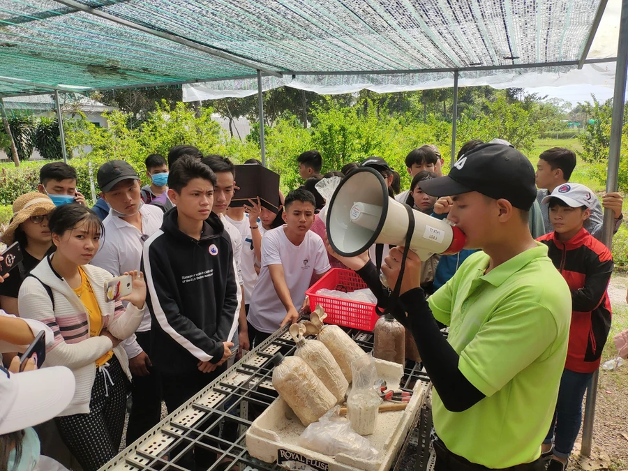 Học sinh tham quan khu nông nghiệp công nghệ tại Củ Chi. Ảnh: Nhà trường cung cấp