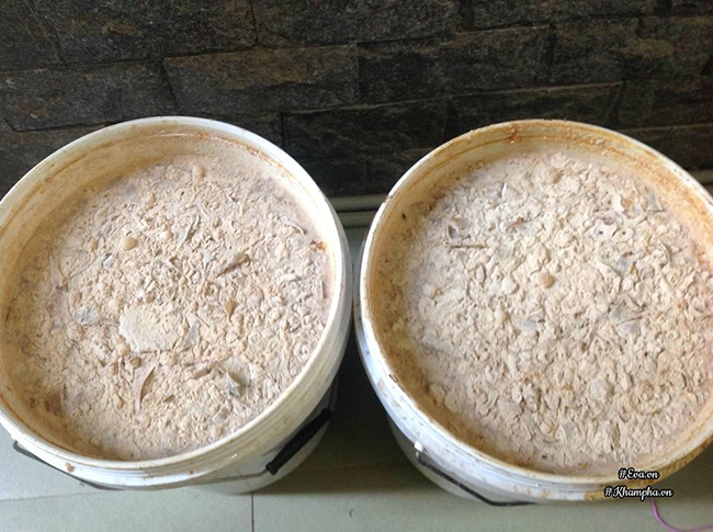 Cô giáo Hà Nội mách cách làm “nước thần” diệt sâu bọ, đuổi muỗi, lau nhà,… cực tốt ảnh 6 Cô giáo Hà Nội mách cách làm “nước thần” diệt sâu bọ, đuổi muỗi, lau nhà,… cực tốt ảnh 6