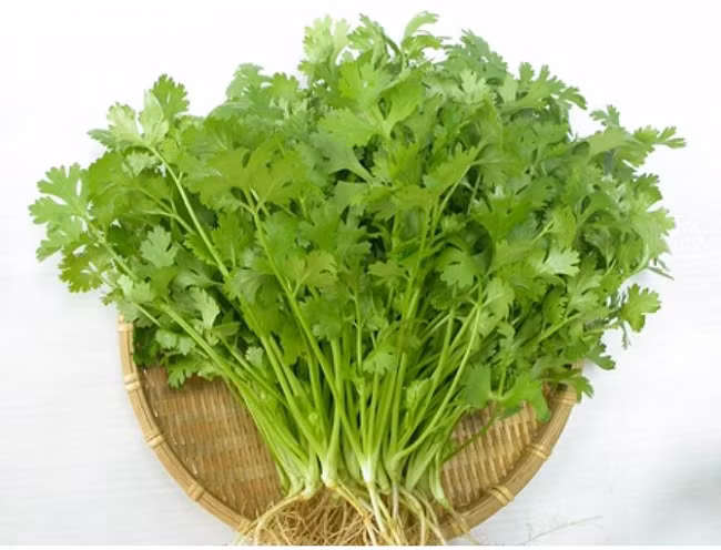 Sợ nhiễm độc kim loại nặng, hãy ăn loại rau quen thuộc này để thải độc