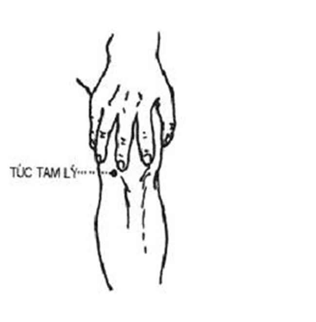 30 phút “vàng” dưỡng sinh sau mỗi bữa ăn giúp bạn kéo dài tuổi thọ ảnh 1