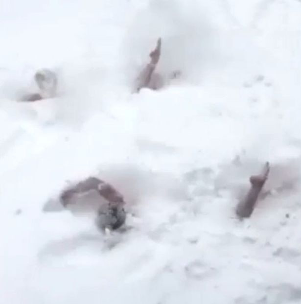 Trào lưu mặc áo tắm lặn tuyết nhìn thôi đã lạnh cóng ảnh 4