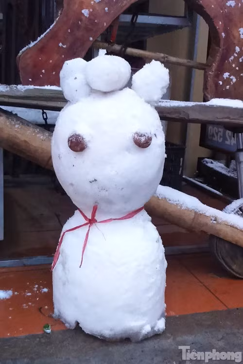 Mục kích những người tuyết kỳ dị ở Sapa - ảnh 14