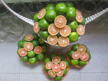 Những tác dụng kỳ diệu của chanh đào ít người biết đến - Ảnh 3 Nhung tac dung ky dieu cua chanh dao it nguoi biet den - Anh 3