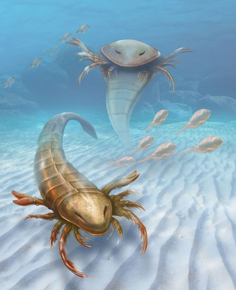 Phát hiện hóa thạch bò cạp biển khổng lồ ảnh 2 Phát hiện hóa thạch bò cạp biển khổng lồ ảnh 2