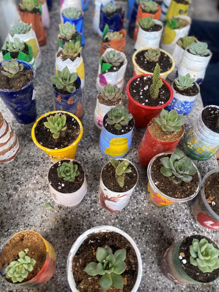 Chuẩn bị chậu cây để đổi rác.