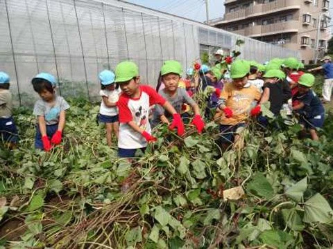 Giáo dục kỹ năng sống cho học sinh: tránh hình thức, quá tải