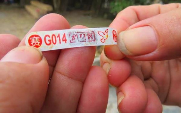 Tận mắt bồ câu “gián điệp” có ký tự lạ giống chữ Trung Quốc ảnh 2 Tận mắt bồ câu “gián điệp” có ký tự lạ giống chữ Trung Quốc ảnh 2