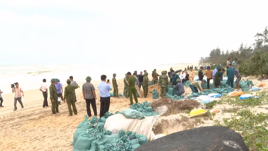 Các lực lượng tham gia gia cố sạt lở bờ biển.