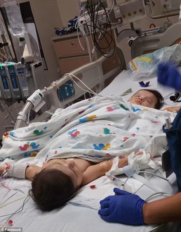 cap song sinh chung xuong chau cuc hiem o my hinh anh 5