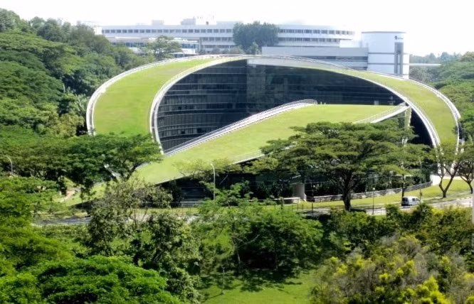 Toàn cảnh ngôi trường Nghệ thuật mái nhà xanh ở Singapore.