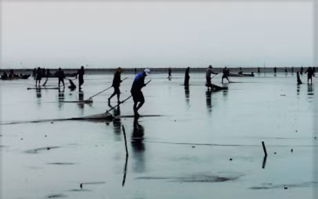 Ca Mau: Hang tram nguoi dan do ra bai boi Dat Mui cao ngao giong - Anh 1