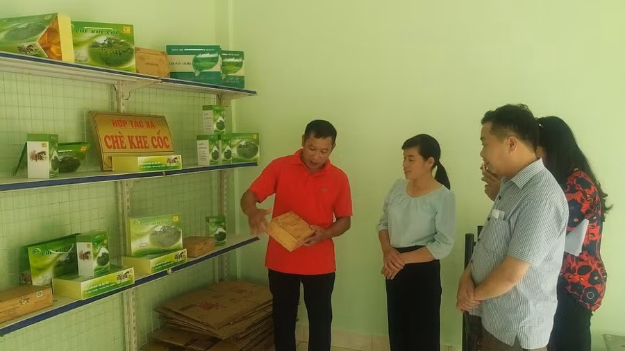 HTX Chè an toàn Khe Cốc, xã Tức Tranh, huyện Phú Lương, tỉnh Thái Nguyên