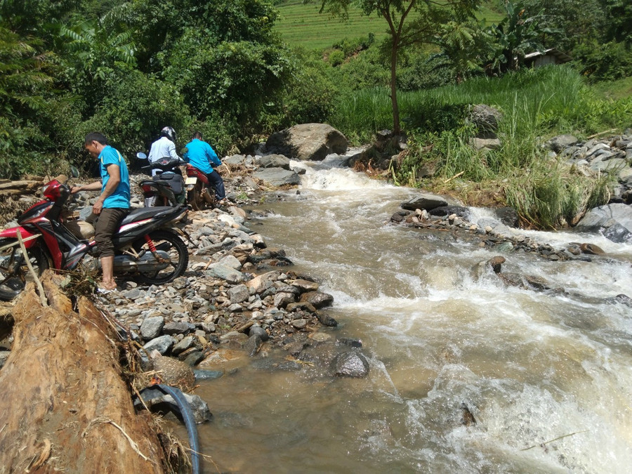 Con đường cô giáo Nguyễn Thị Như Thảo thường xuyên đi qua. Con đường cô giáo Nguyễn Thị Như Thảo thường xuyên đi qua.