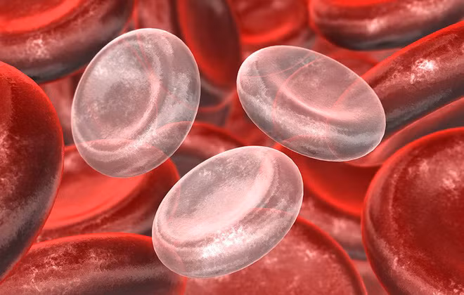 6 dấu hiệu không ngờ báo bạn đi khám bệnh tiêu hóa: Đừng để phải hối hận vì thành ung thư - Ảnh 2.