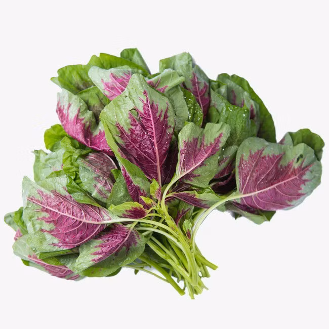 Đông y gọi đây là rau trường thọ vì 6 tác dụng quý hơn trứng, phòng ngừa nhiều loại bệnh - Ảnh 3.