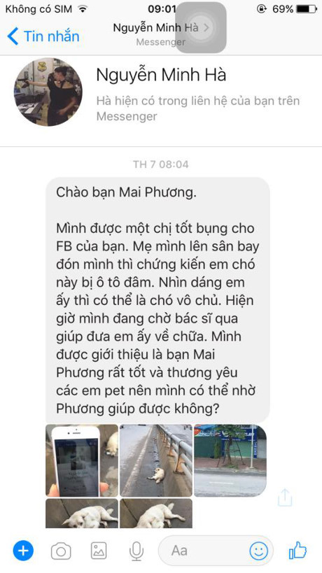Chú chó bị đâm, lê lết trên phố Hà Nội và sức mạnh của cộng đồng mạng - Ảnh 4 Chu cho bi dam, le let tren pho Ha Noi va suc manh cua cong dong mang - Anh 4