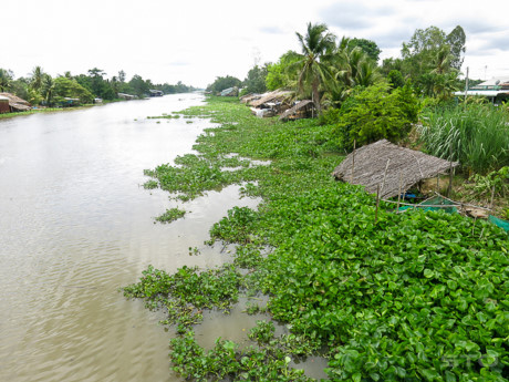 Nghề Nghe