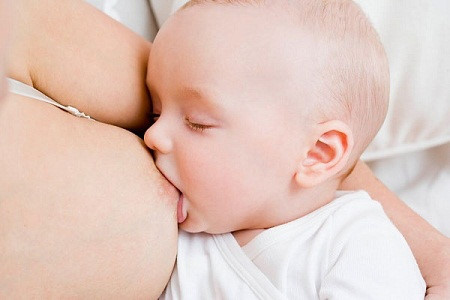 Tiết lộ 8 lợi ích tuyệt vời của rau mồng tơi chưa từng được biết - Ảnh 4 Tiet lo 8 loi ich tuyet voi cua rau mong toi chua tung duoc biet - Anh 4