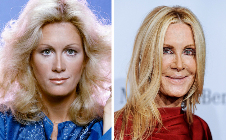 Nữ diễn viên Joan Van Ark.