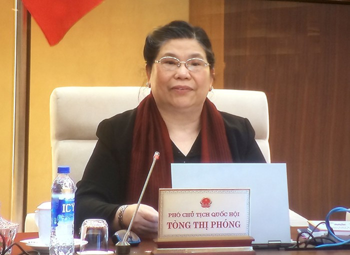 Phó Chủ tịch Quốc hội Tòng Thị Phóng