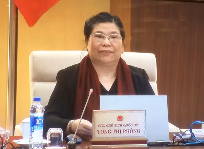 Phó Chủ tịch Quốc hội Tòng Thị Phóng