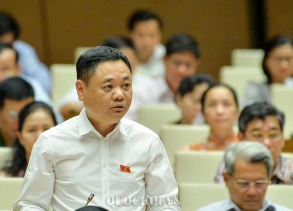 Đại biểu Nguyễn Ngọc Bảo