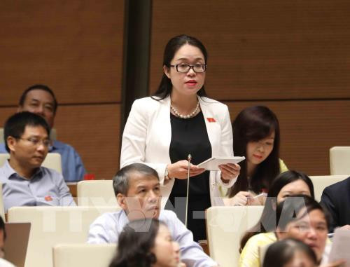 Đại biểu Dương Minh Ánh