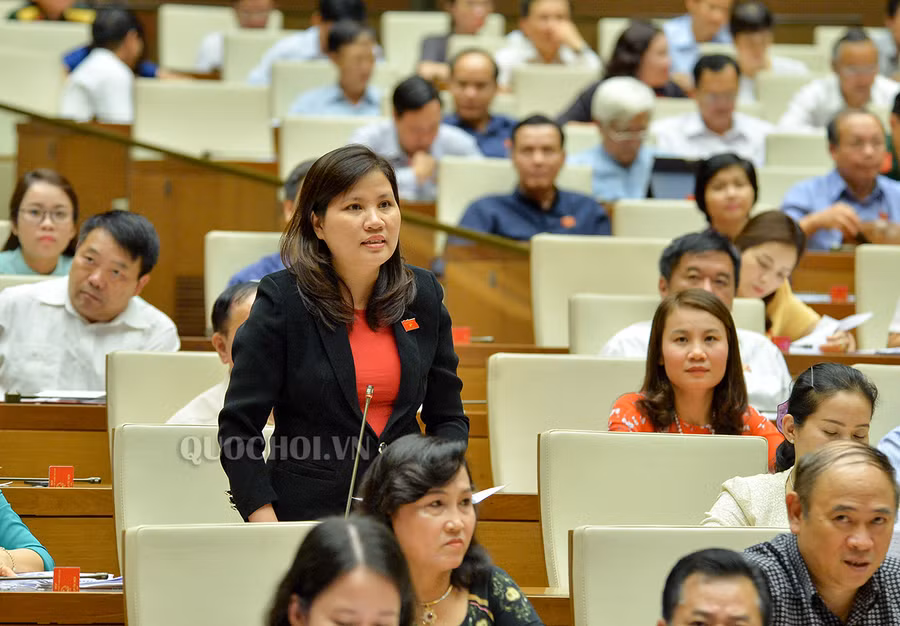 Đại biểu Đinh Thị Phương Lan