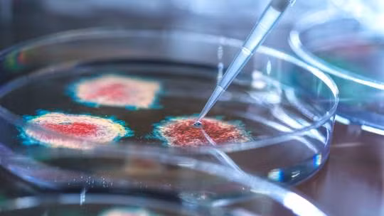 Nga lo Mỹ đang thực hiện các âm mưu gây mối họa sinh học ở Ukraine. Ảnh minh họa: RT