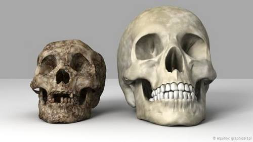 12081482-1000965896592350-1080-8404-7891