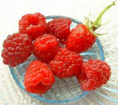 Những phương thuốc dành cho phụ nữ lãnh cảm