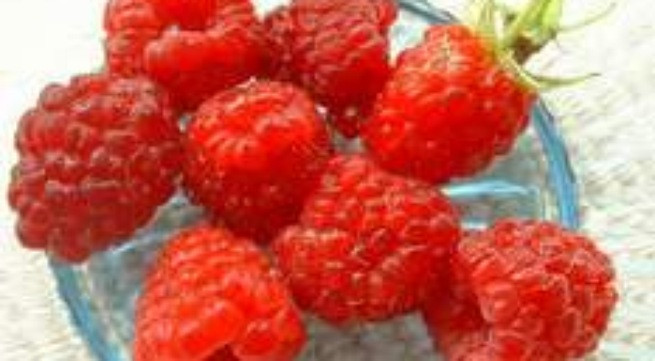 Những phương thuốc dành cho phụ nữ lãnh cảm