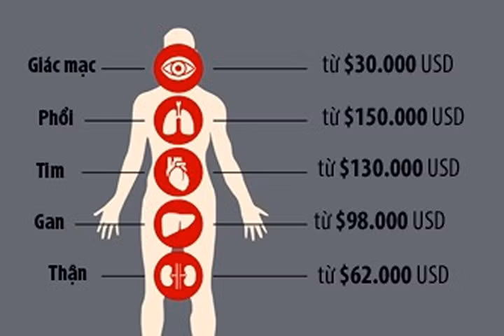 Bí mật phía sau ngành công nghiệp ghép tạng siêu lợi nhuận ở TQ