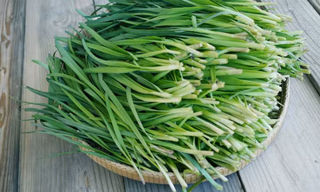 La he - tien duoc cho suc khoe, co cay nay ban ca nam khong can toi thuoc tay - Anh 1