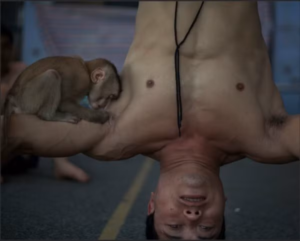 Những công việc được cho là nguy hiểm bậc nhất ở Việt Nam