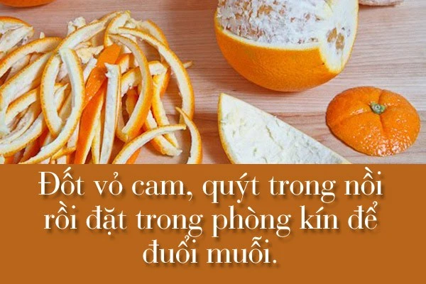 Mẹo hay để không có bóng dáng con muỗi nào trong nhà