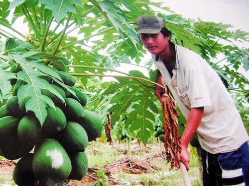 Học làm giàu từ trong... trại giam