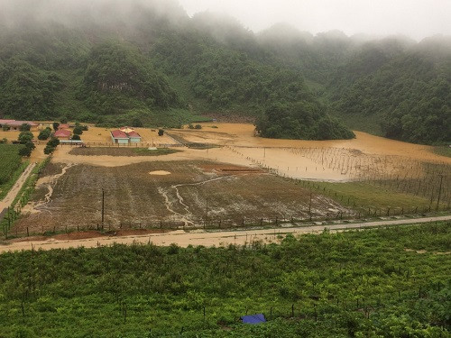 Trung tâm NCKH&CGCN bị ngập lụt nặng Trung tâm NCKH&CGCN bị ngập lụt nặng