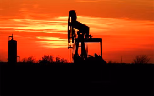 tap chi duc xac nhan: nga noi dung - tho nhi ky mua dau tho tu is hinh 0