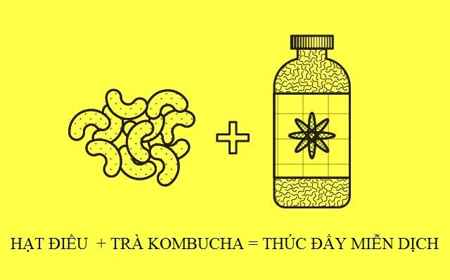 Sự kết hợp giữa hạt điều và trà Kombucha kích thích tăng cường lượng protein và kẽm, hai thành phần quan trọng cho hệ miễn dịch khỏe mạnh. Ngoài ra, các sản phẩm lên men như trà Kombucha cải thiện sự hấp thụ kẽm trong hệ thống ruột. 10 cách kết hợp thực phẩm tốt cho cơ thể