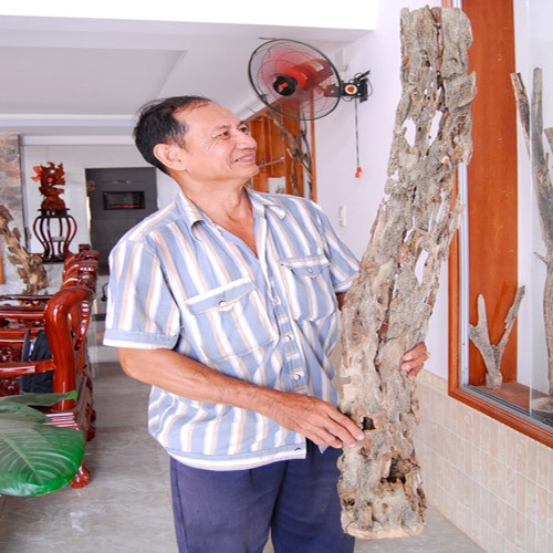 ""Tỷ phú chân đất"" nuôi kiến tạo trầm hương thu hàng chục tỷ đồng ảnh 2 ""Tỷ phú chân đất"" nuôi kiến tạo trầm hương thu hàng chục tỷ đồng ảnh 2