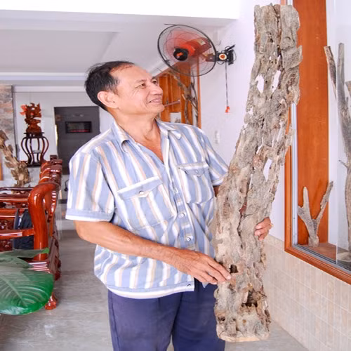 ""Tỷ phú chân đất"" nuôi kiến tạo trầm hương thu hàng chục tỷ đồng ảnh 2