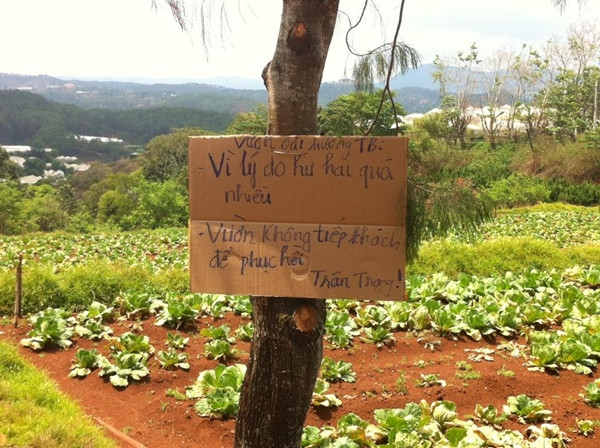 Anh Thành buộc phải treo biển ngưng tiếp khách để phục hồi vườn. Ảnh: FB Lê Tiến Thành. Anh Thành buộc phải treo biển