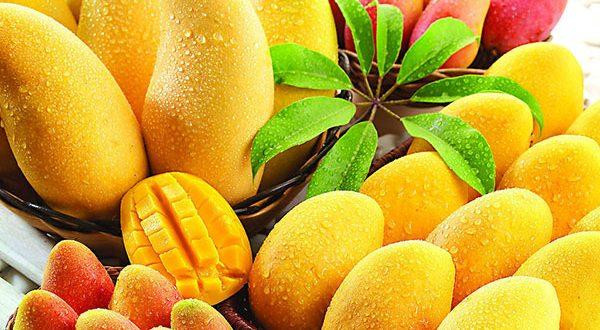Tránh xa những thực phẩm sau vào mùa nắng nóng nếu không muốn  Tranh xa nhung thuc pham sau vao mua nang nong neu khong muon